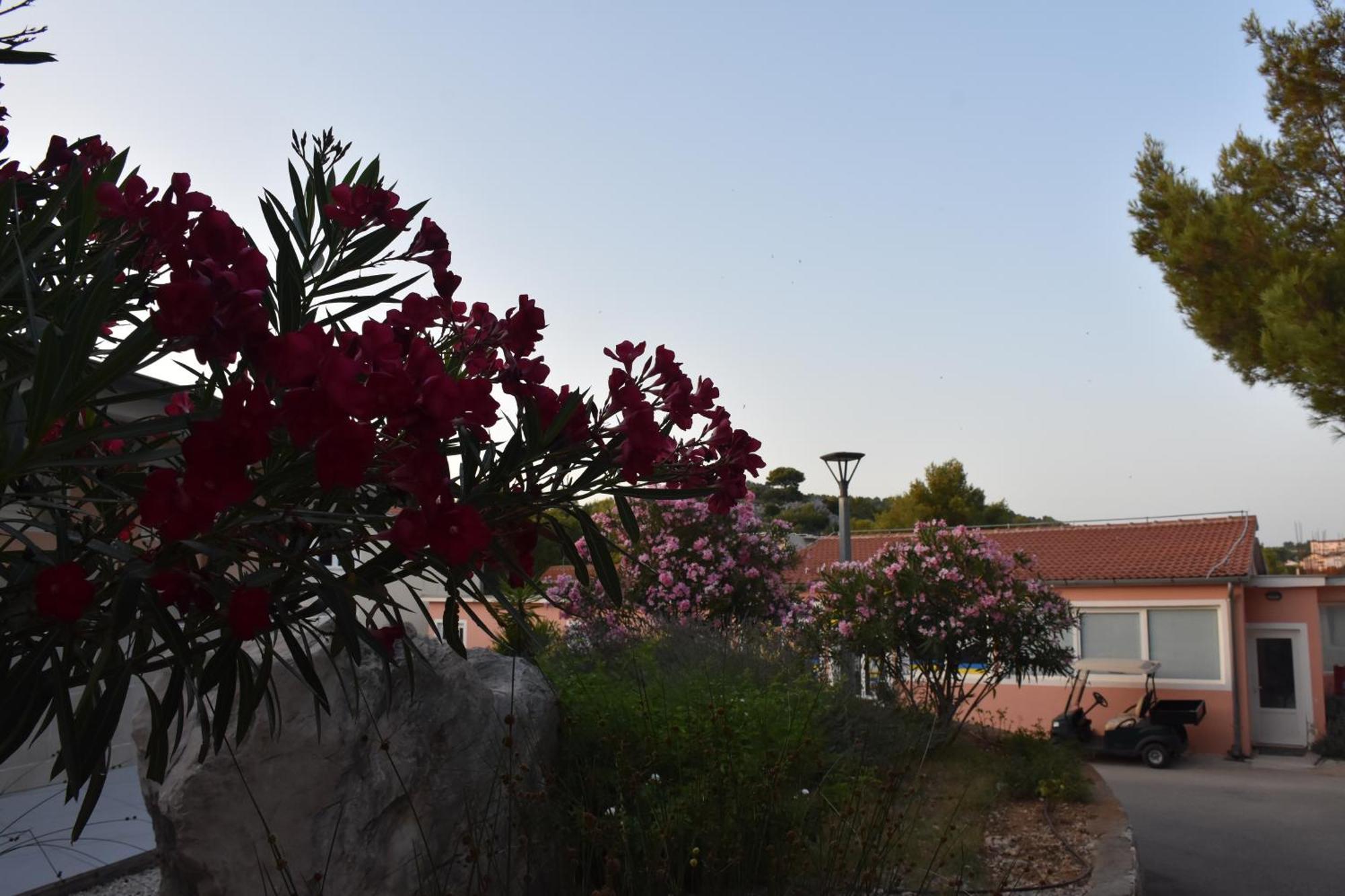 Oremore - Premium Mobile Home - Oaza Mira Camping, Drage Εξωτερικό φωτογραφία